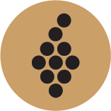 VVinho